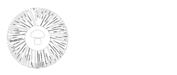Functional Mushroom Council